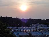 朝日(マウスオンで、リスの群れ)