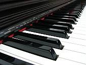 CASIO CELVIANO AP-25