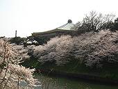 武道館