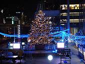 フジテレビ前のクリスマスツリー(まだ建設中)