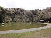 不動池(マウスオンで、錦鯉)