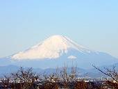 初富士山