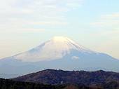 今日の富士山(マウスオンで、タイワンリス)