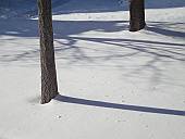 雪