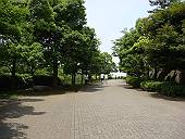 本牧山頂公園