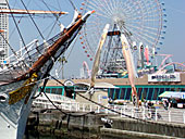 日本丸と鯉のぼり(マウスオンでクワガタムシ)