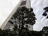 今日のランドマークタワー