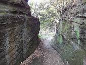 岩を削った道(マウスオンで、倒れた巨木)