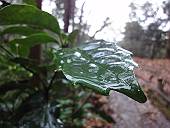 突然の大雨