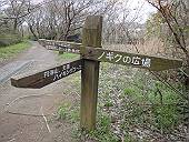 ノギクの広場へ(マウスオンで、貝の化石?)
