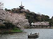 三溪園