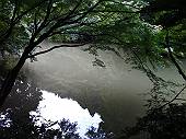 瀬上池