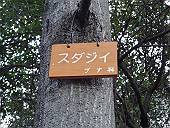 須田爺さん
