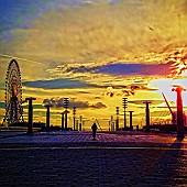 お台場の夕陽